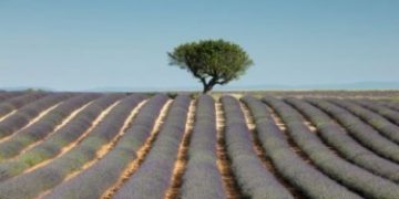 5 tips chụp ảnh thiên nhiên qua các mùa khác nhau