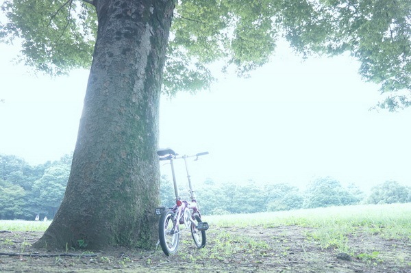 bien canh binh thuong thanh anh nghe thuat