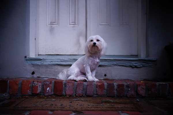 bien canh binh thuong thanh anh nghe thuat