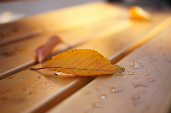 bien canh binh thuong thanh anh nghe thuat